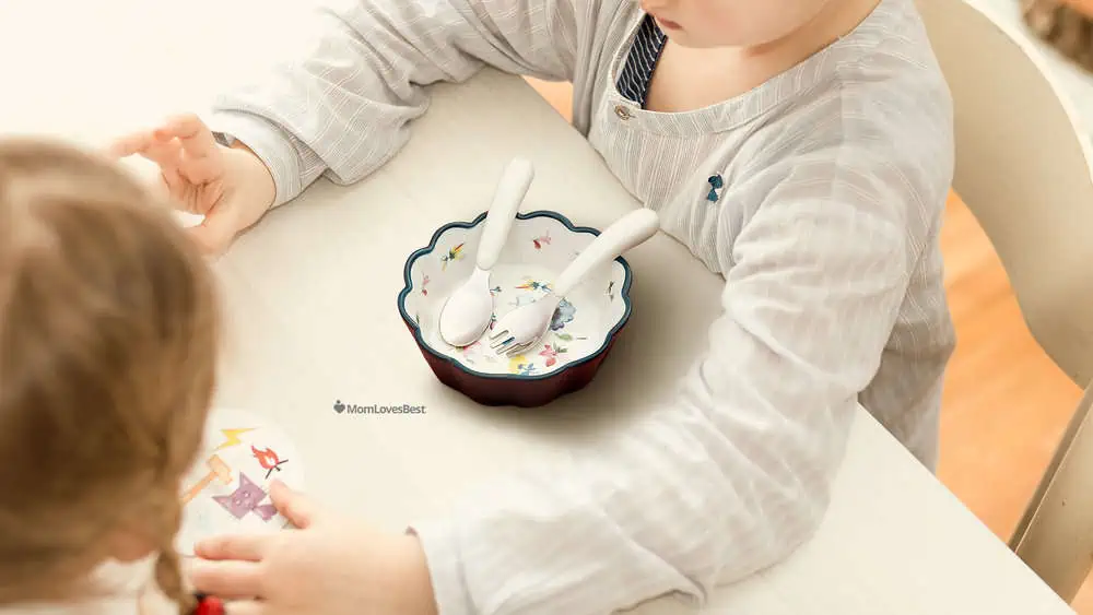 Photo of the Kirecoo Baby Fork and Spoon Set