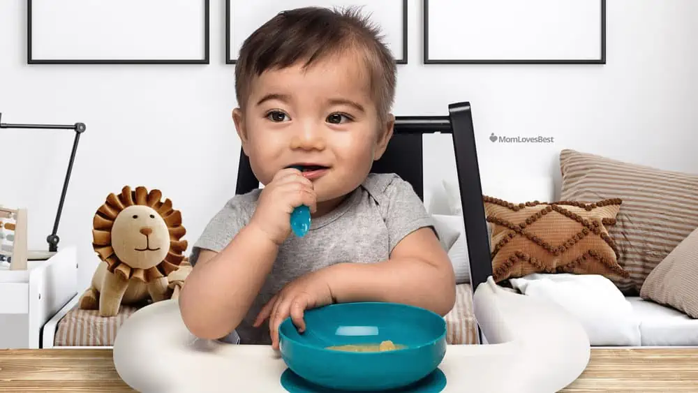 10 Best Spoons for Babies & Toddlers of 2023