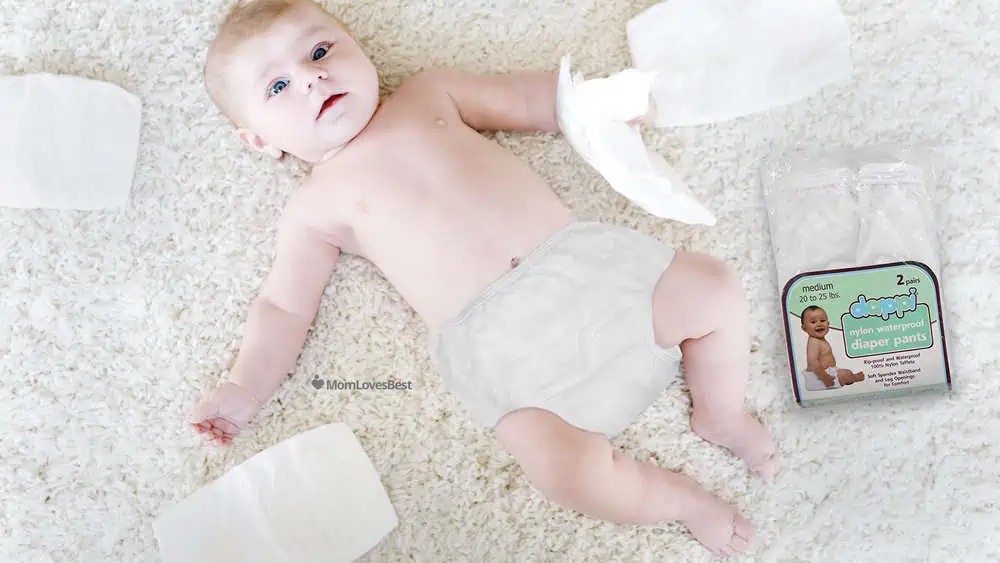 Best Non-Toxic Pull-Up Diapers for Potty Training (2021) - Wholesome  Children