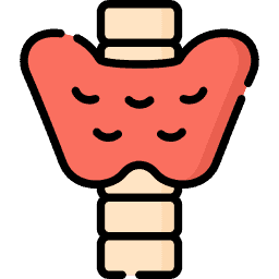 Does Your Thyroid Function Normally? Icon
