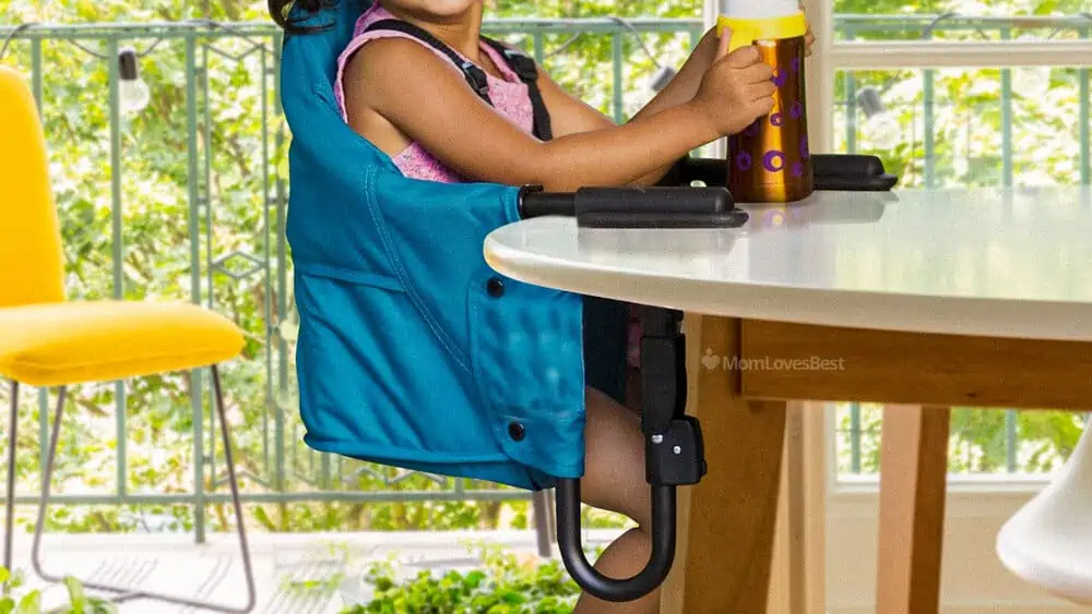 Photo of the Guzzie and Guss Perch Hook-On High Chair