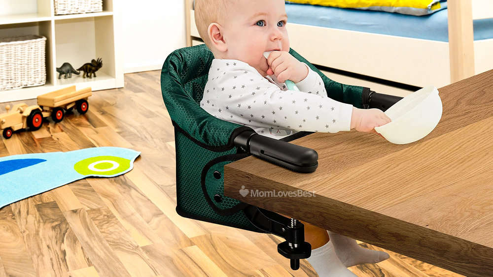 Photo of the Toogel Hook-On High Chair