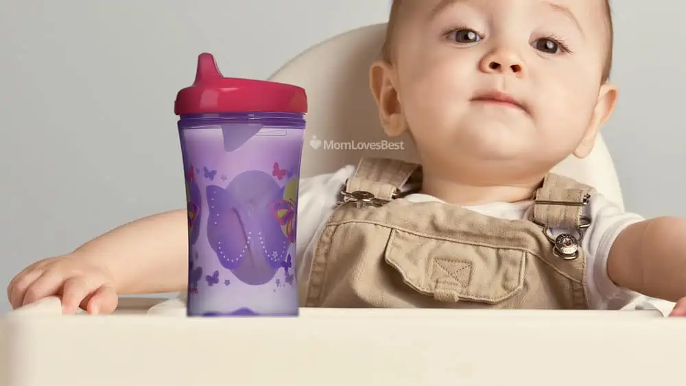 Photo of the Gerber Hard Spout Sippy Cup