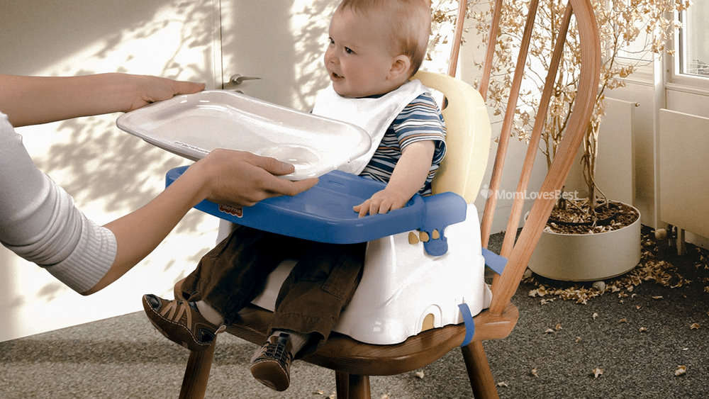 Photo of the Fisher-Price Healthy Care Booster Seat