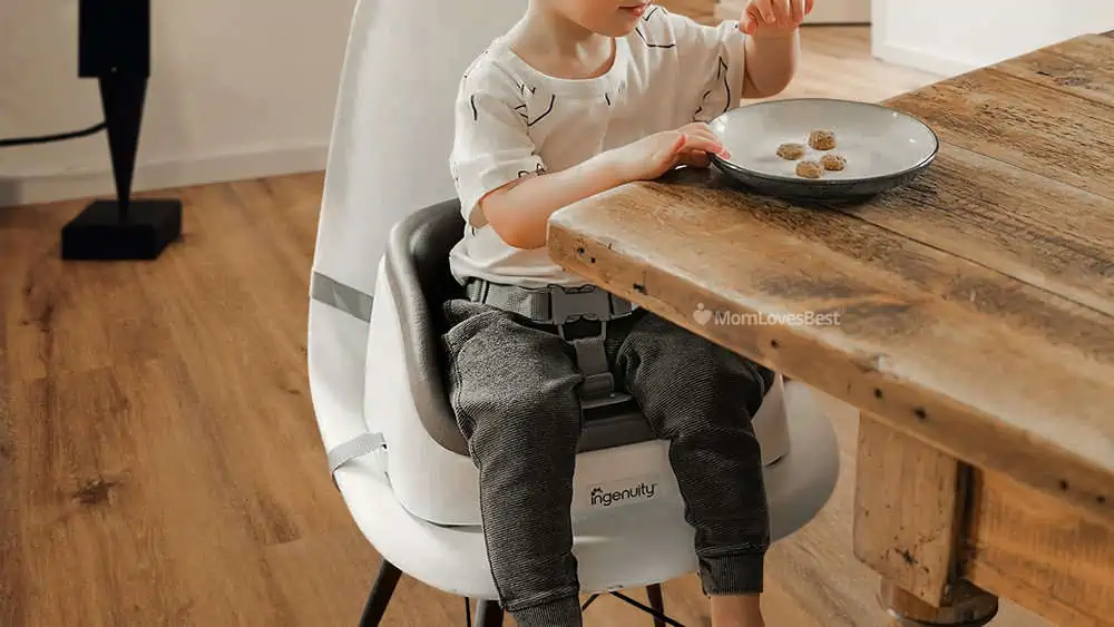 Photo of the Ingenuity SmartClean Toddler Booster Seat
