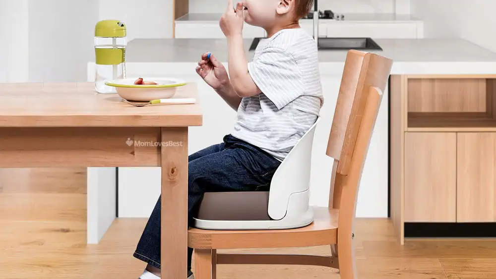 Photo of the Oxo Tot Perch Booster Seat with Straps