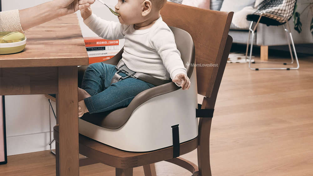Photo of the Oxo Tot Nest Booster Seat with Straps