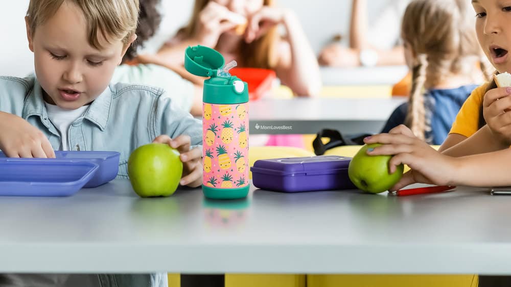 8 Best Water Bottles for Kids of 2023