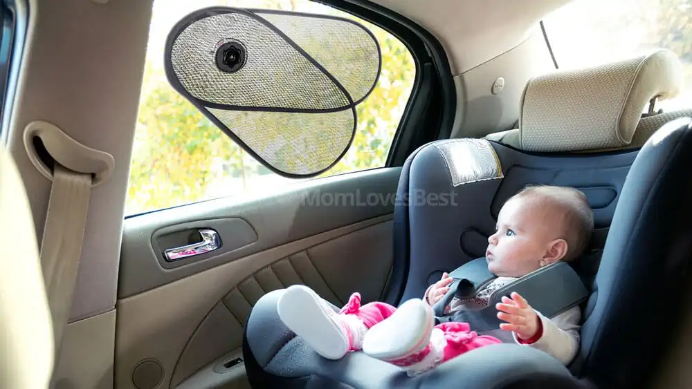 Gm Kids And Pet Window Shade, Kids And Pet Uv Protection, Side Window Car  Sun Protection Blinds Mesh Material