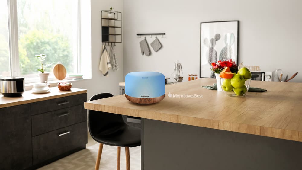 Photo of the URPower Remote Controlled Ultrasonic Humidifier