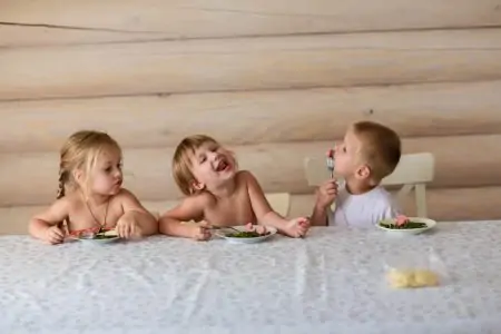 Toddlers eating at the table without high chairs