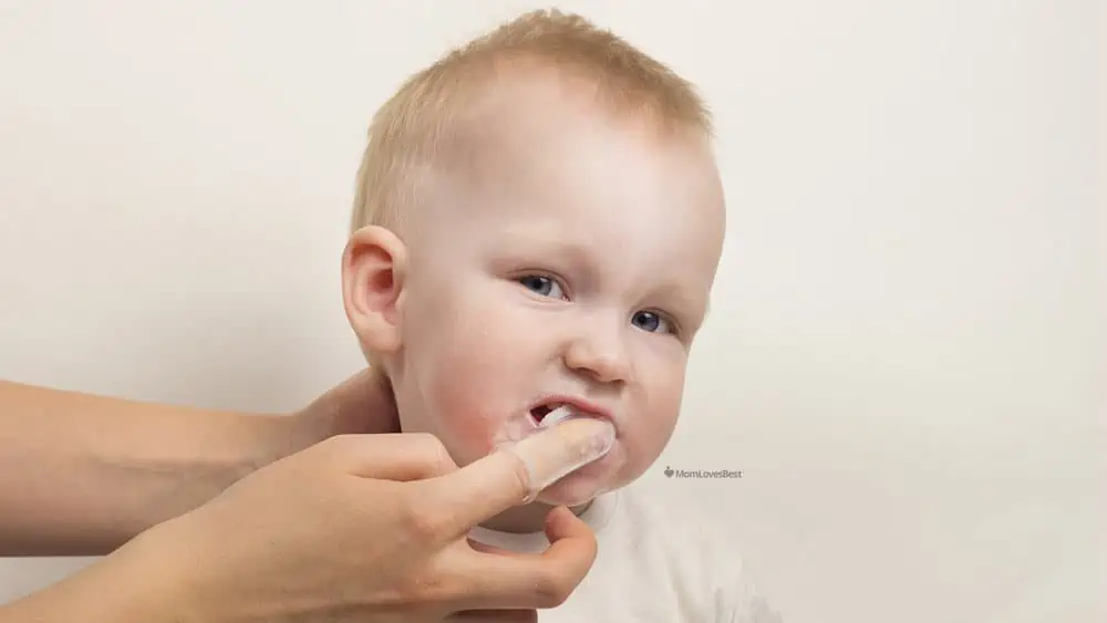 Photo of the BabyBaus Finger Baby Toothbrush