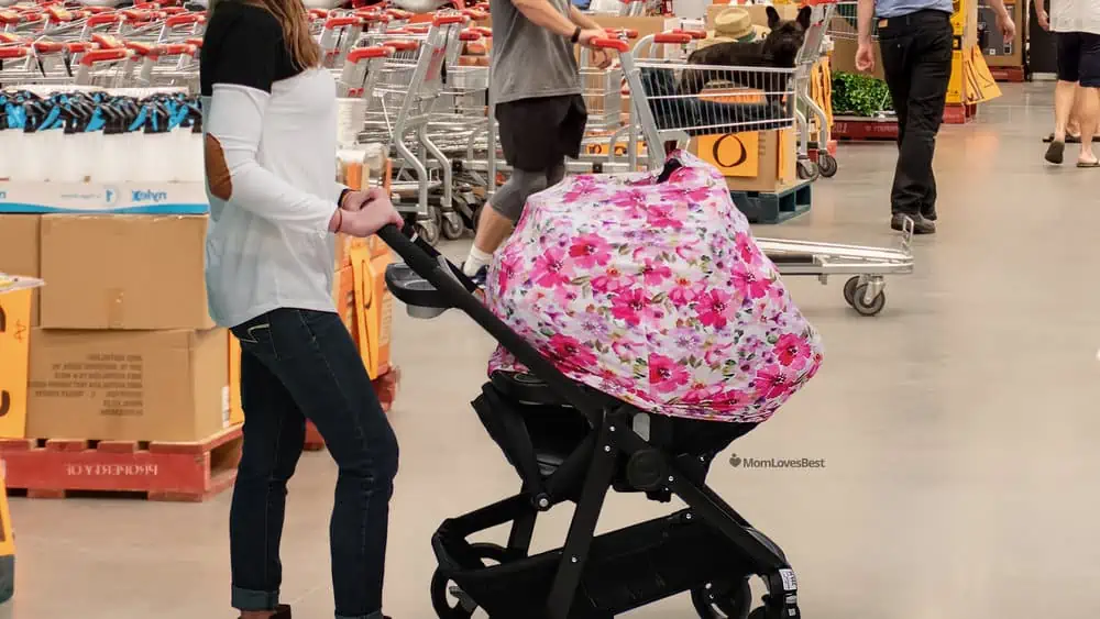 Photo of the Lakeson & Co. 4-in-1 Shopping Cart Cover