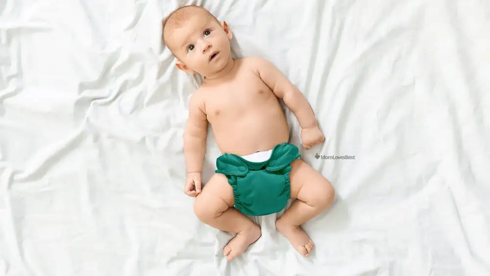 Photo of the Lil Joey All-in-One Cloth Diapers