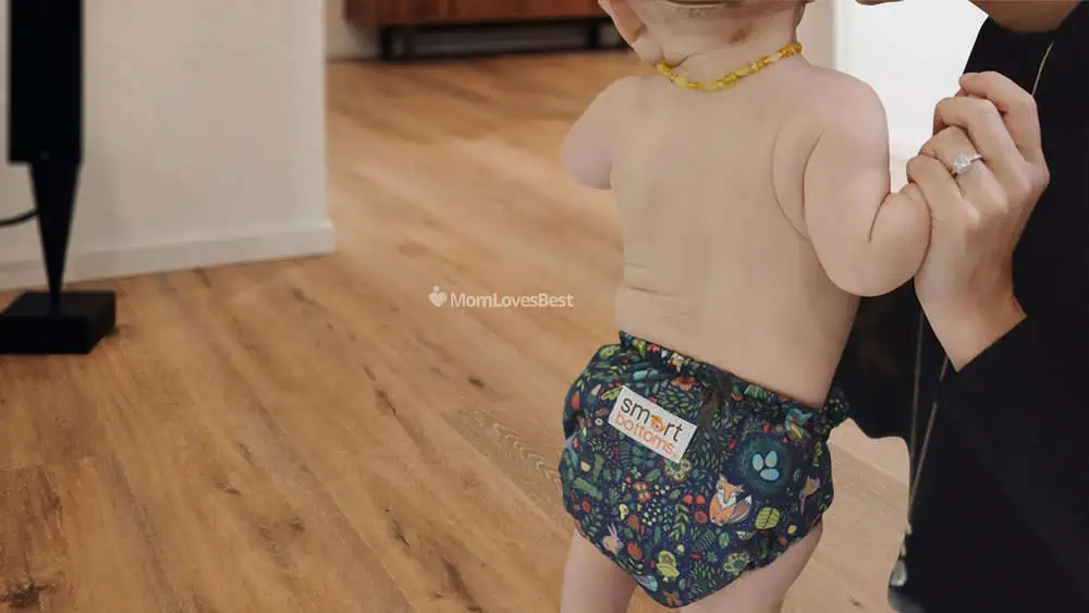 Photo of the Smart Bottoms 3.1 Organic AlO Cloth Diapers