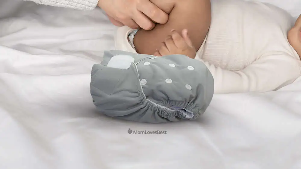 Photo of the Thirsties Natural All-in-One Cloth Diaper