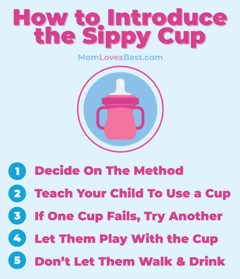 How to Introduce a Sippy Cup to a Breastfed Baby (5 Easy Steps)