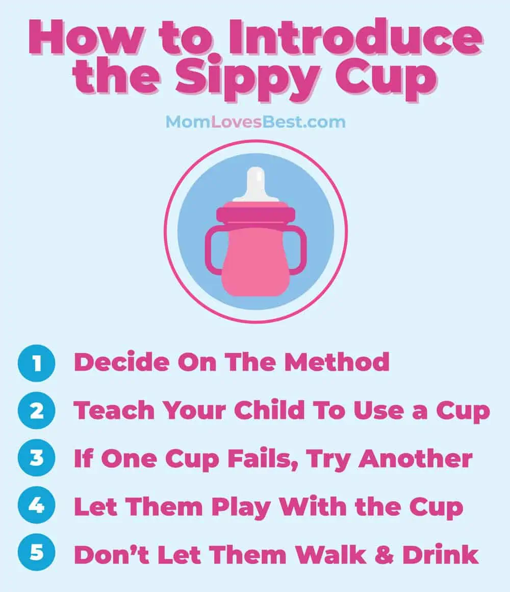 how to introduce the sippy cup