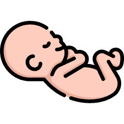 Premature birth Icon