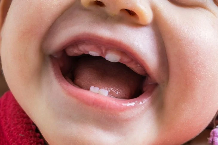 Close up of a teething baby's gums