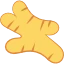 Ginger Root Icon