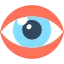 Vision Problems Icon