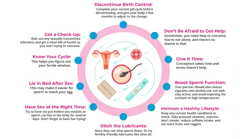 How to get pregnant: How likely am I to get pregnant each month?