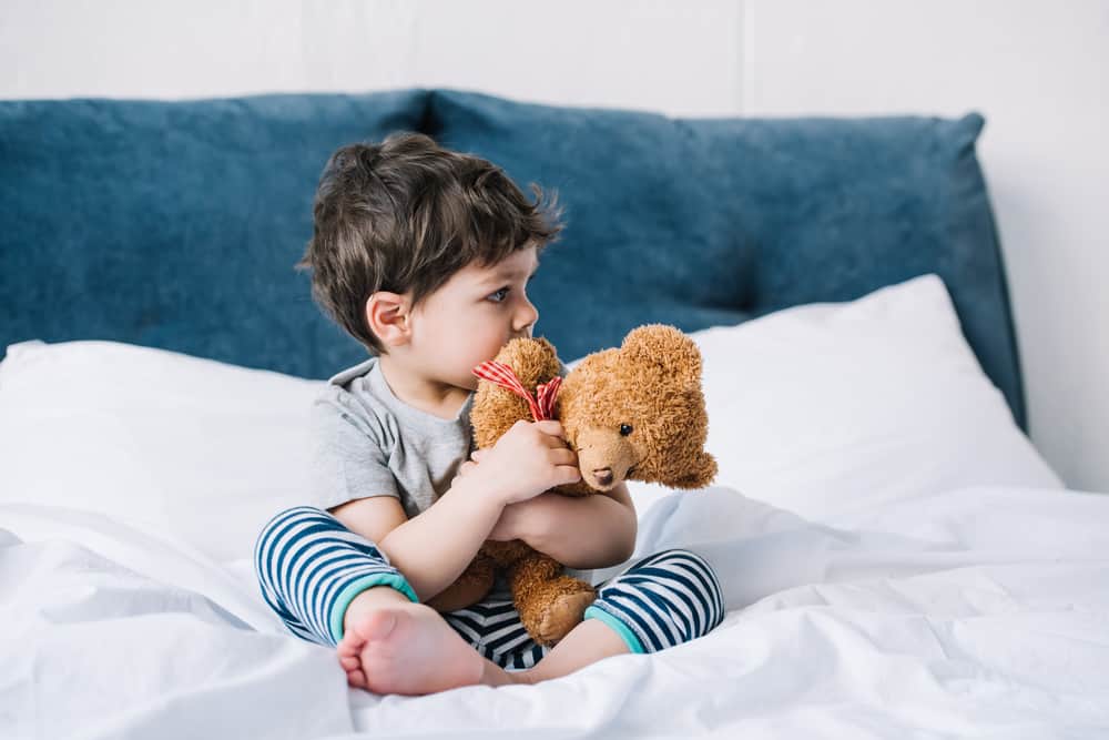 best teddies for babies