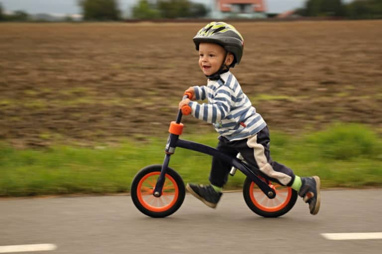 10 Best Toddler Bikes (2022 Reviews) - Mom Loves Best