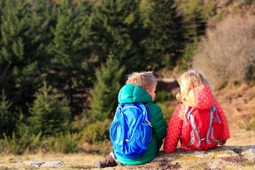 Toddlers wearing backpacks hiking in the mountains