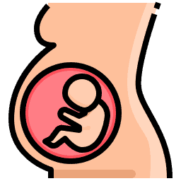 Lowering the Risk of Birth Defects Icon