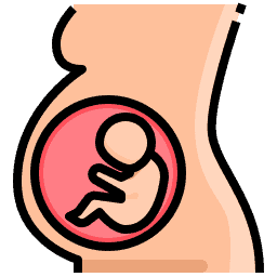 Delayed or Inadequate Prenatal Care Icon