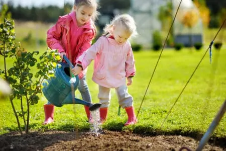 Two little girls gardening together