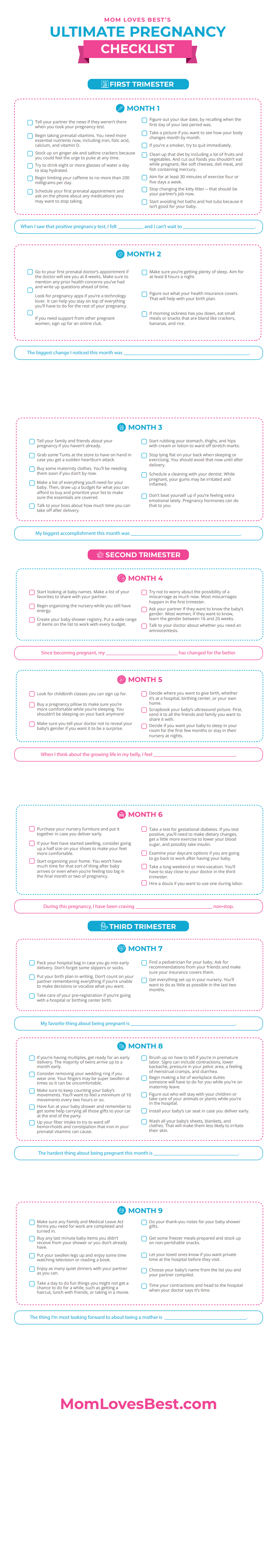 Pregnancy Checklist Month by Month PDF Download