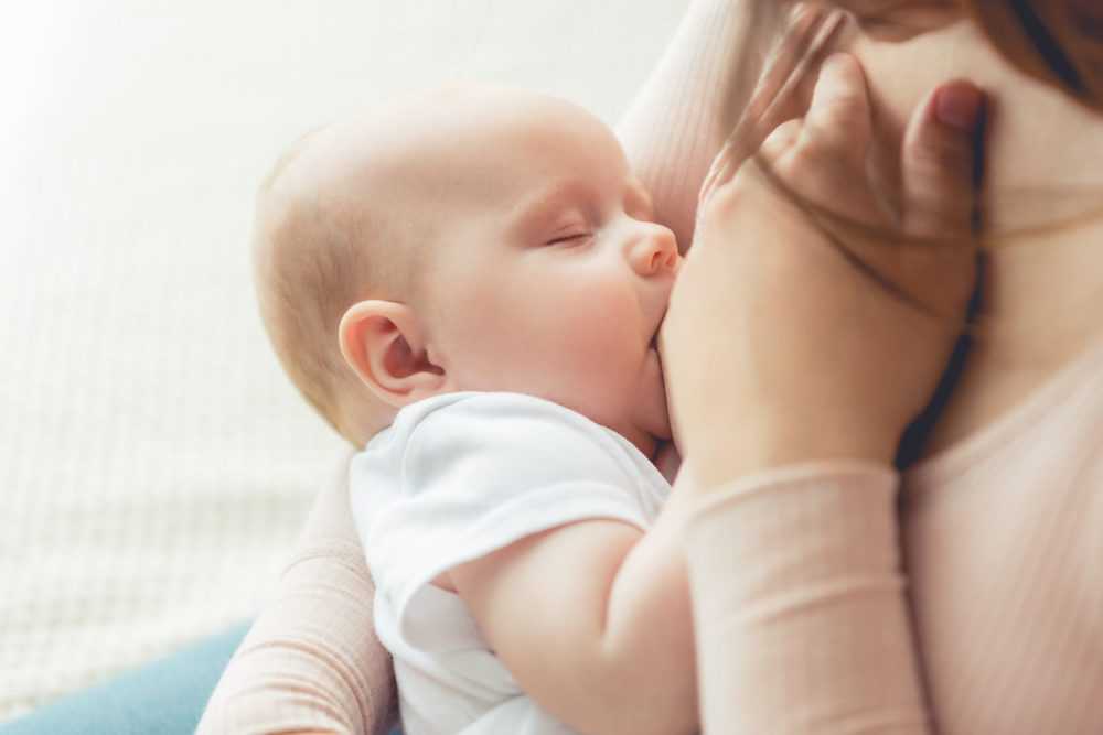Cute newborn breastfeeding
