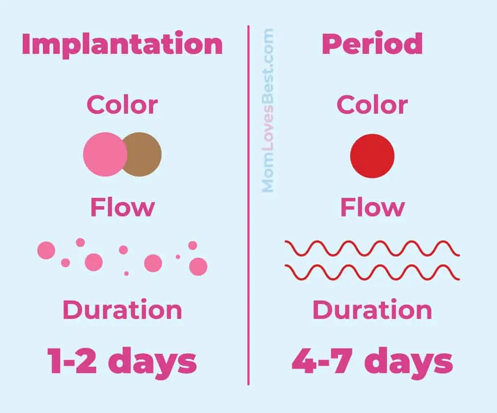 what does spotting look like during implantation