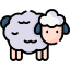 What do you need to name a sheep to become a rainbow sheep? Icon