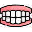 How many teeth do most adults have? Icon