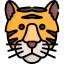Why do tigers eat raw meat? Icon