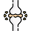 You Are Less Likely to Develop Osteoporosis Icon