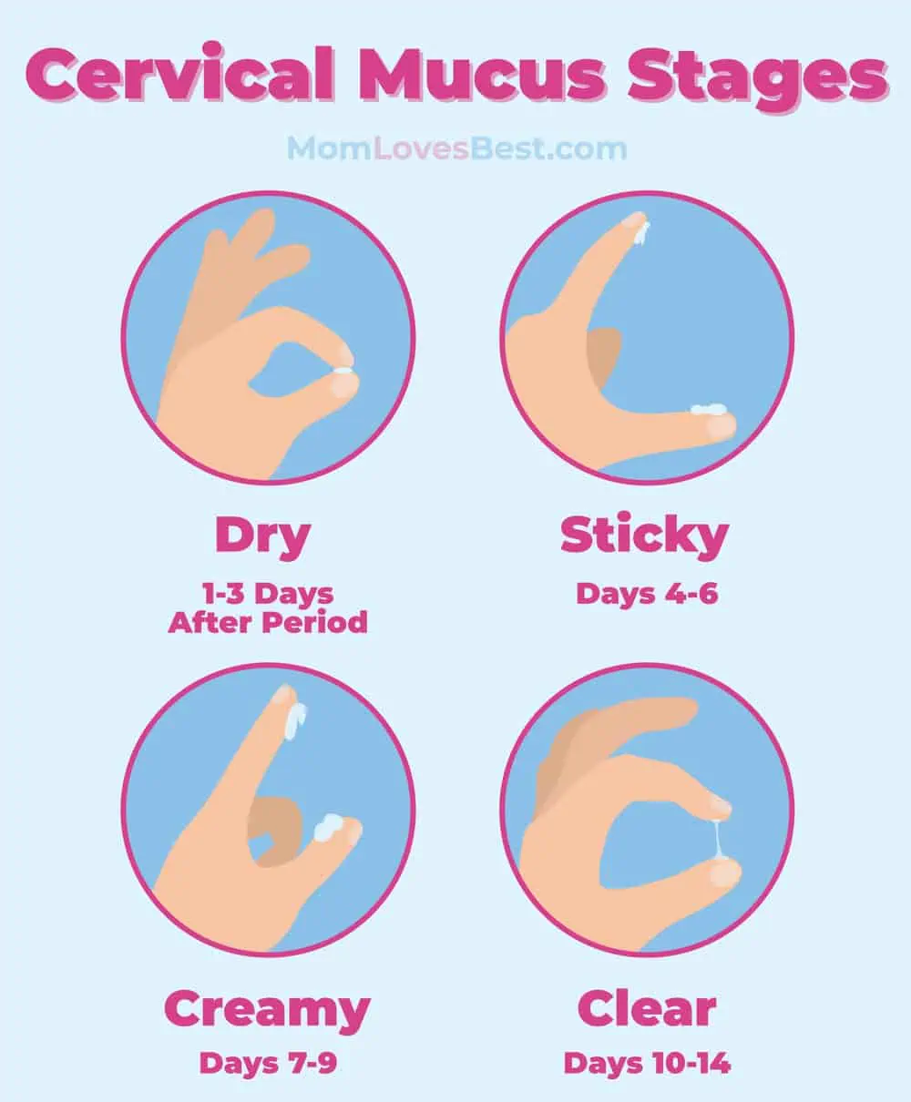 how to check cervical mucus