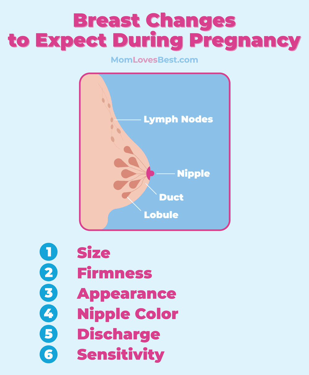 common breast changes during pregnancy