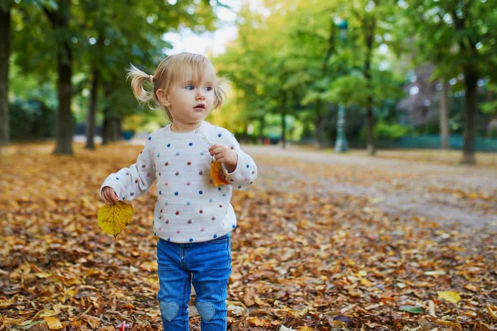 Cute little girl holding autumn leaves in the park