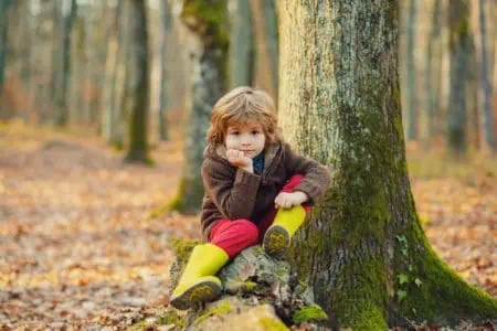Adorable little kid sitting on fallen tree in autumn park