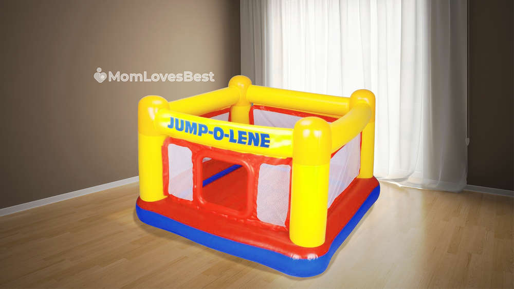 Photo of the Intex Jump-O-Lene Inflatable Ball Pit
