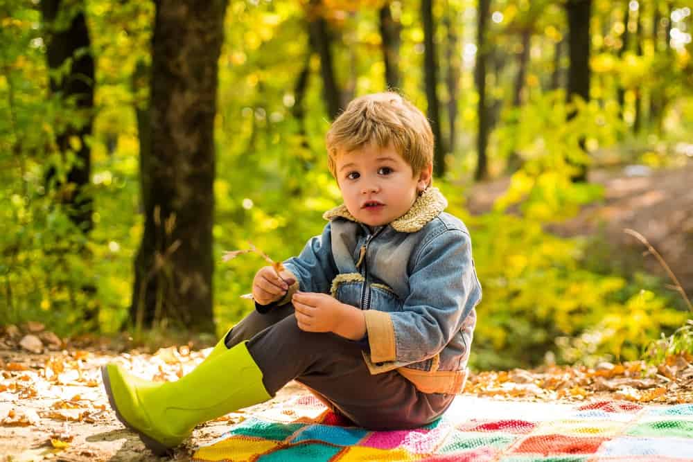 Cute little boy sitting on plaid mat in autumn forest