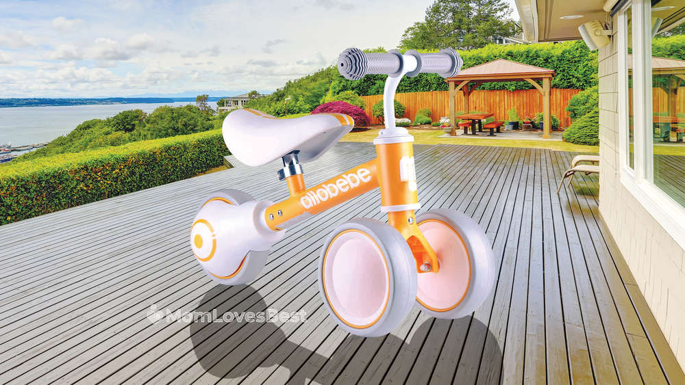 10 Best Bikes for 1-Year-Olds (2022 