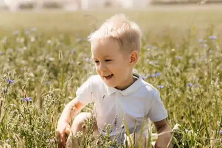 Cute young boy sitting on the grass with dandelions