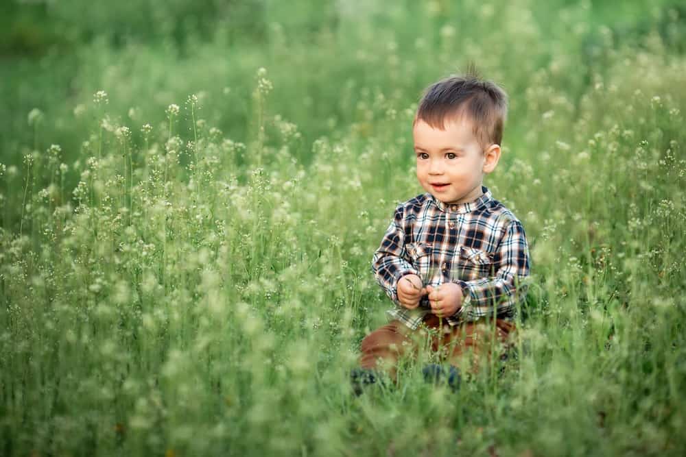 Adorable little boy sitting in the flowering meadow