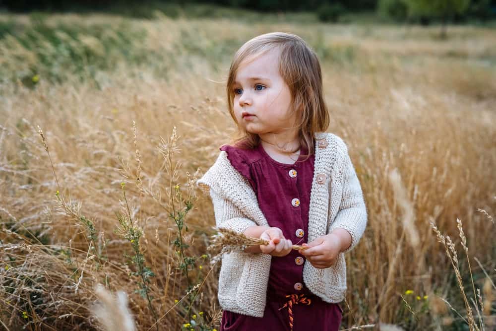Adorable little girl in sweater holding dried grass